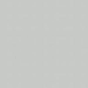 Meet your Posher, Arielle